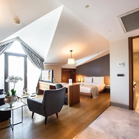 Hotel Dosso Dossi & Downtown Istanbul