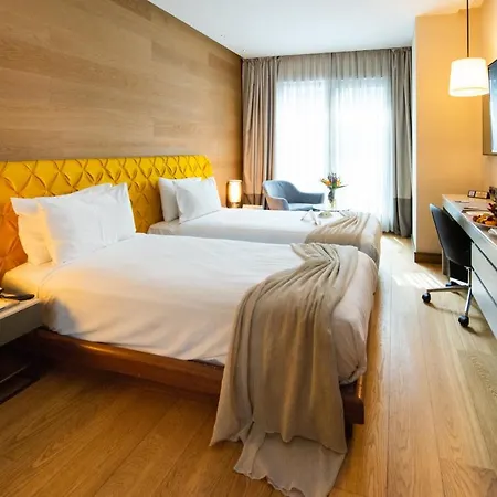 Dosso Dossi & Downtown Hotel Istanbul