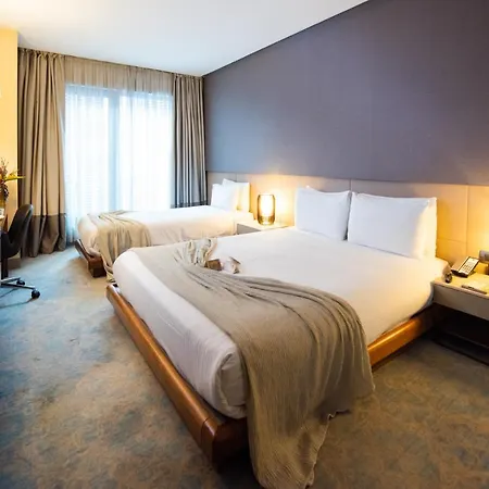 Dosso Dossi & Downtown Hotel