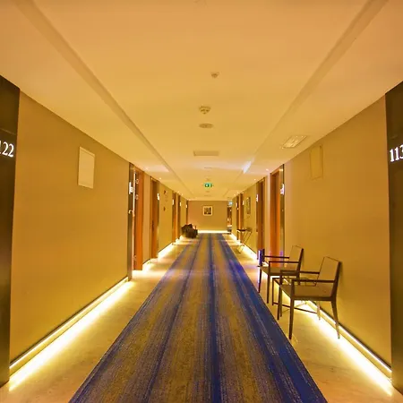 Dosso Dossi & Downtown