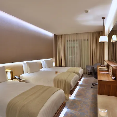 酒店 Dosso Dossi & Downtown 5*