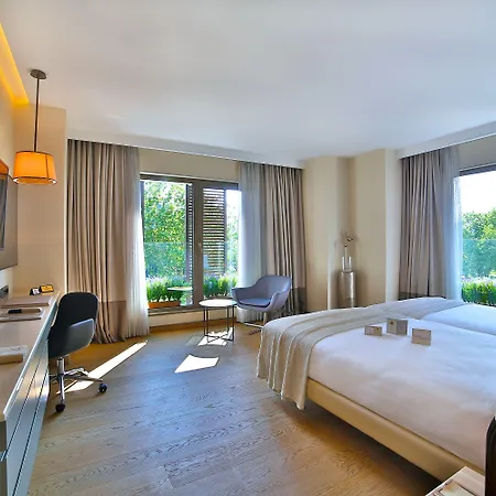 Dosso Dossi & Downtown