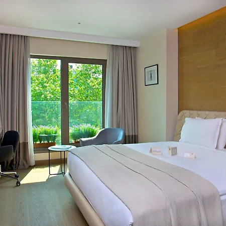 Hotel Dosso Dossi & Downtown Istanbul