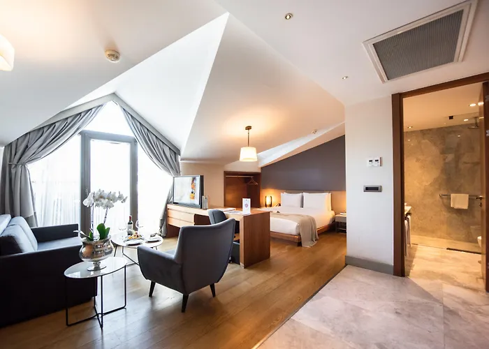 Dosso Dossi & Downtown