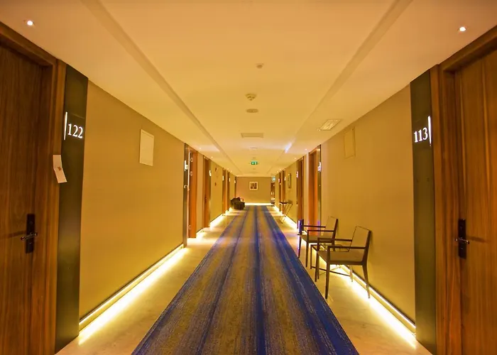 Dosso Dossi & Downtown