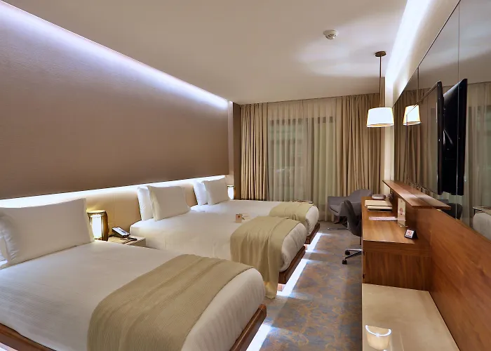 Отель Dosso Dossi & Downtown 5*