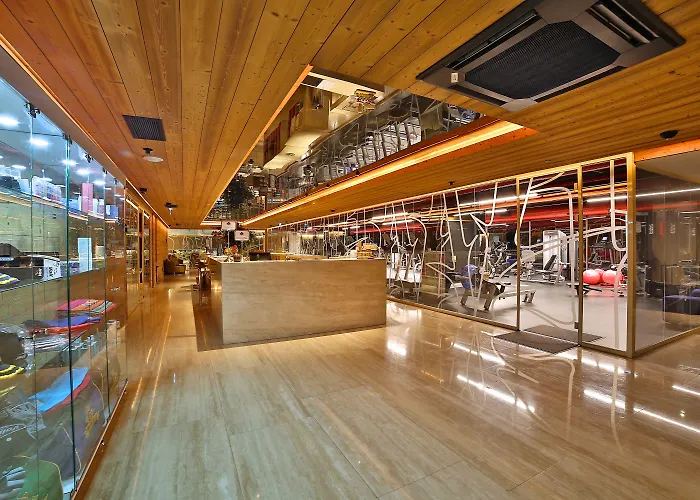 Dosso Dossi & Downtown