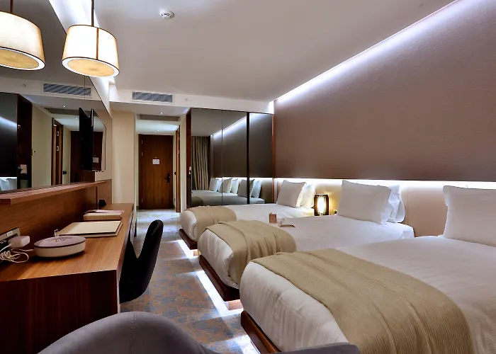 Отель Dosso Dossi & Downtown